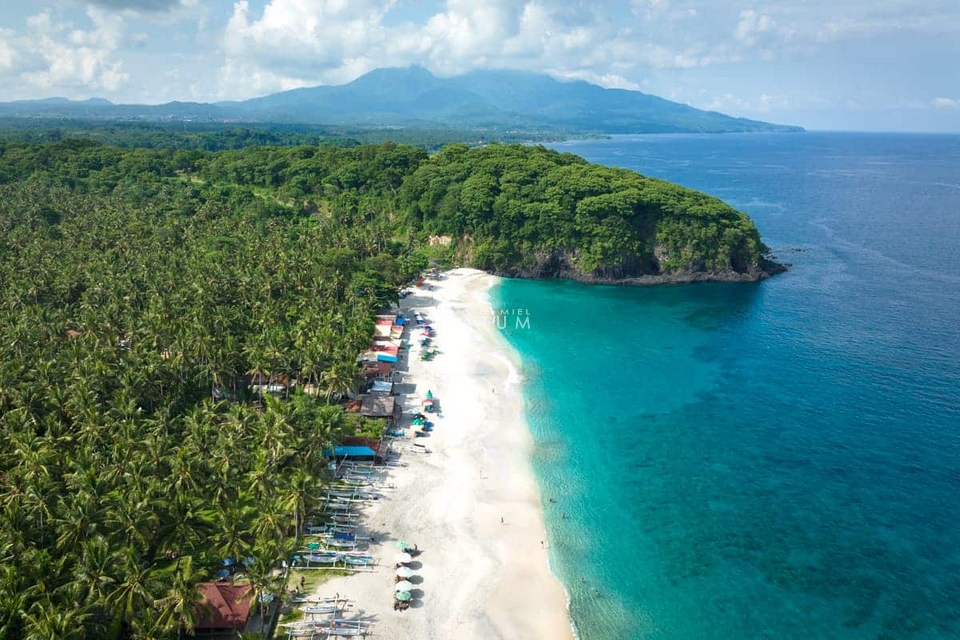 超歓迎された】 JAVA - BALI.写真と記述 人文 - 人文